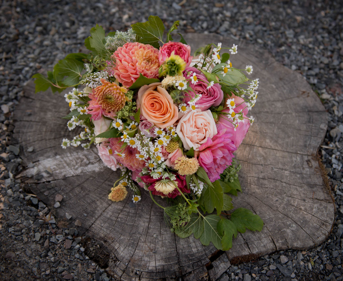 Willie Greens Organic Farm Wedding