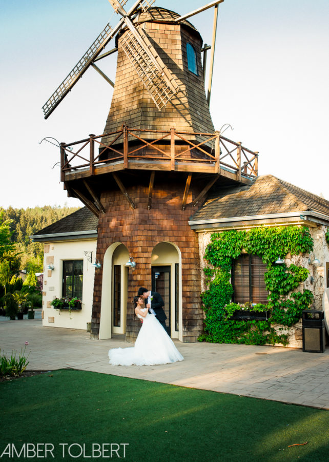 Modern Windmill Gardens Wedding in Sumner WA